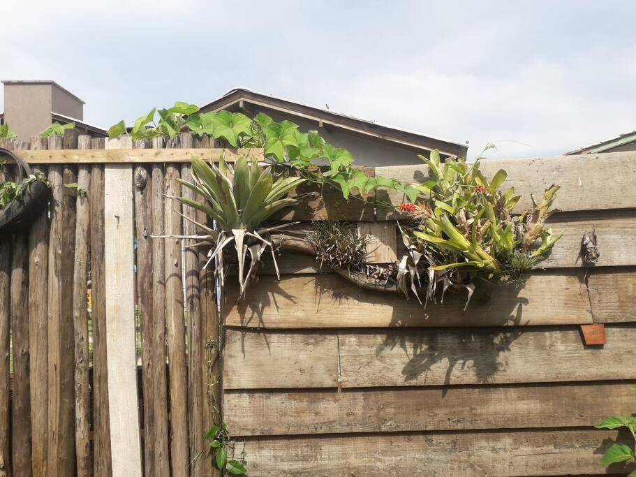 Casa Proximo A Praias, Trilhas E Cachoeiras. Garopaba Exteriér fotografie