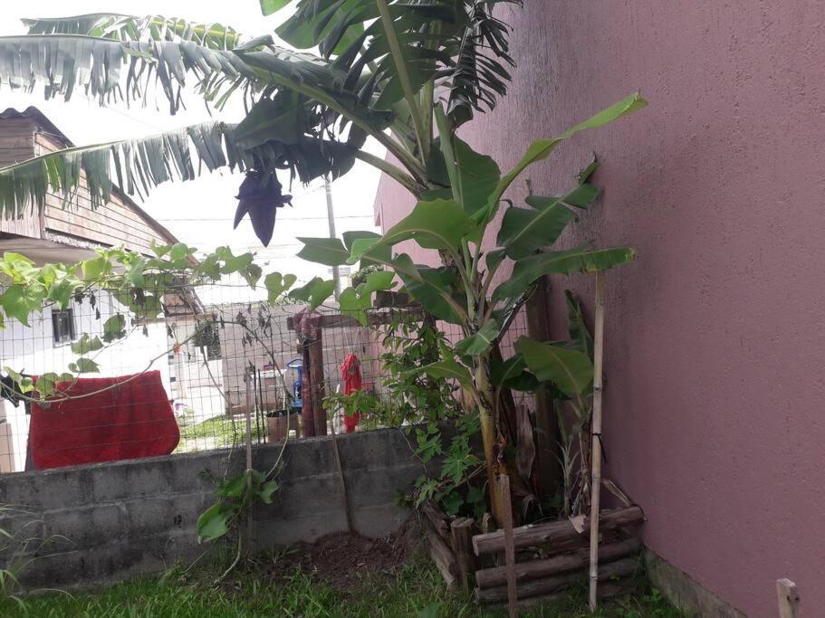 Casa Proximo A Praias, Trilhas E Cachoeiras. Garopaba Exteriér fotografie
