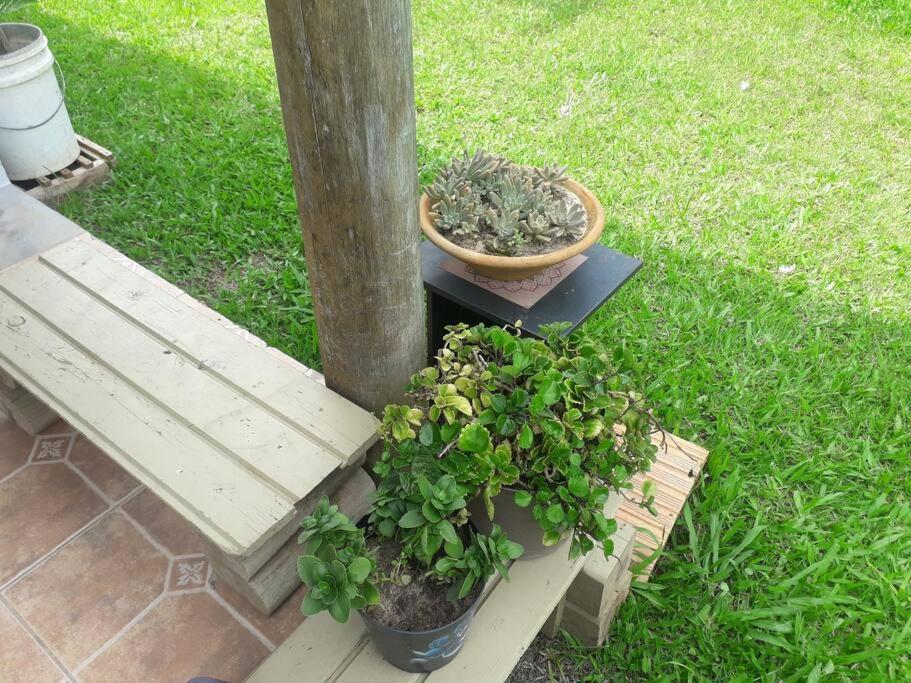 Casa Proximo A Praias, Trilhas E Cachoeiras. Garopaba Exteriér fotografie