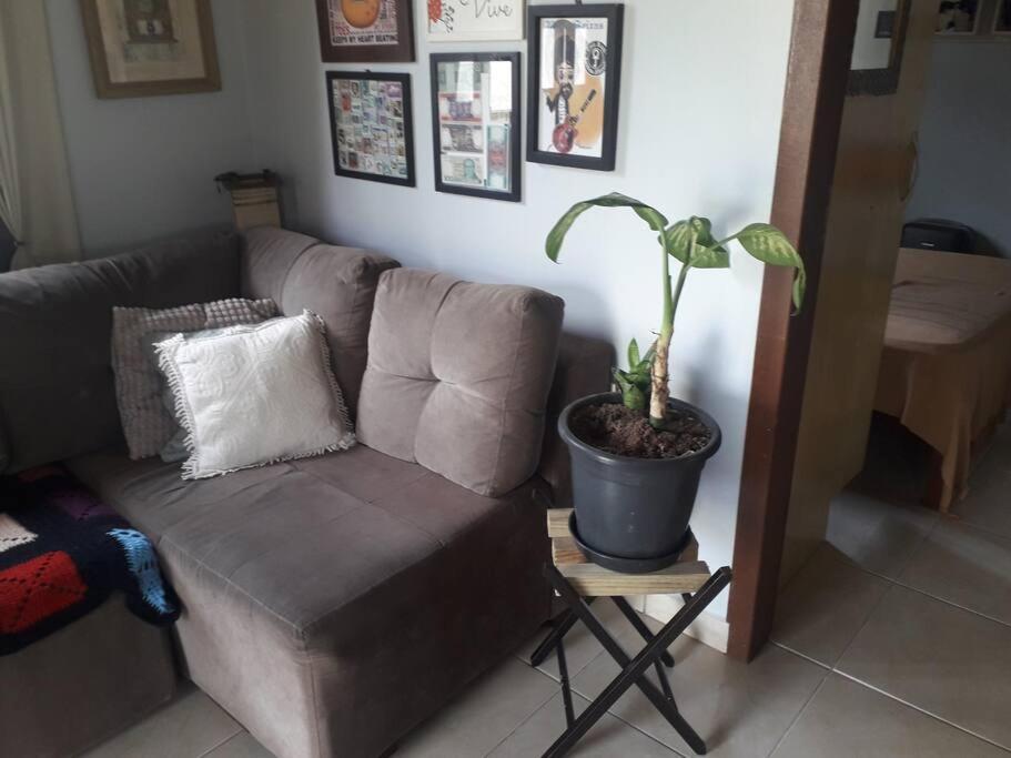 Casa Proximo A Praias, Trilhas E Cachoeiras. Garopaba Exteriér fotografie